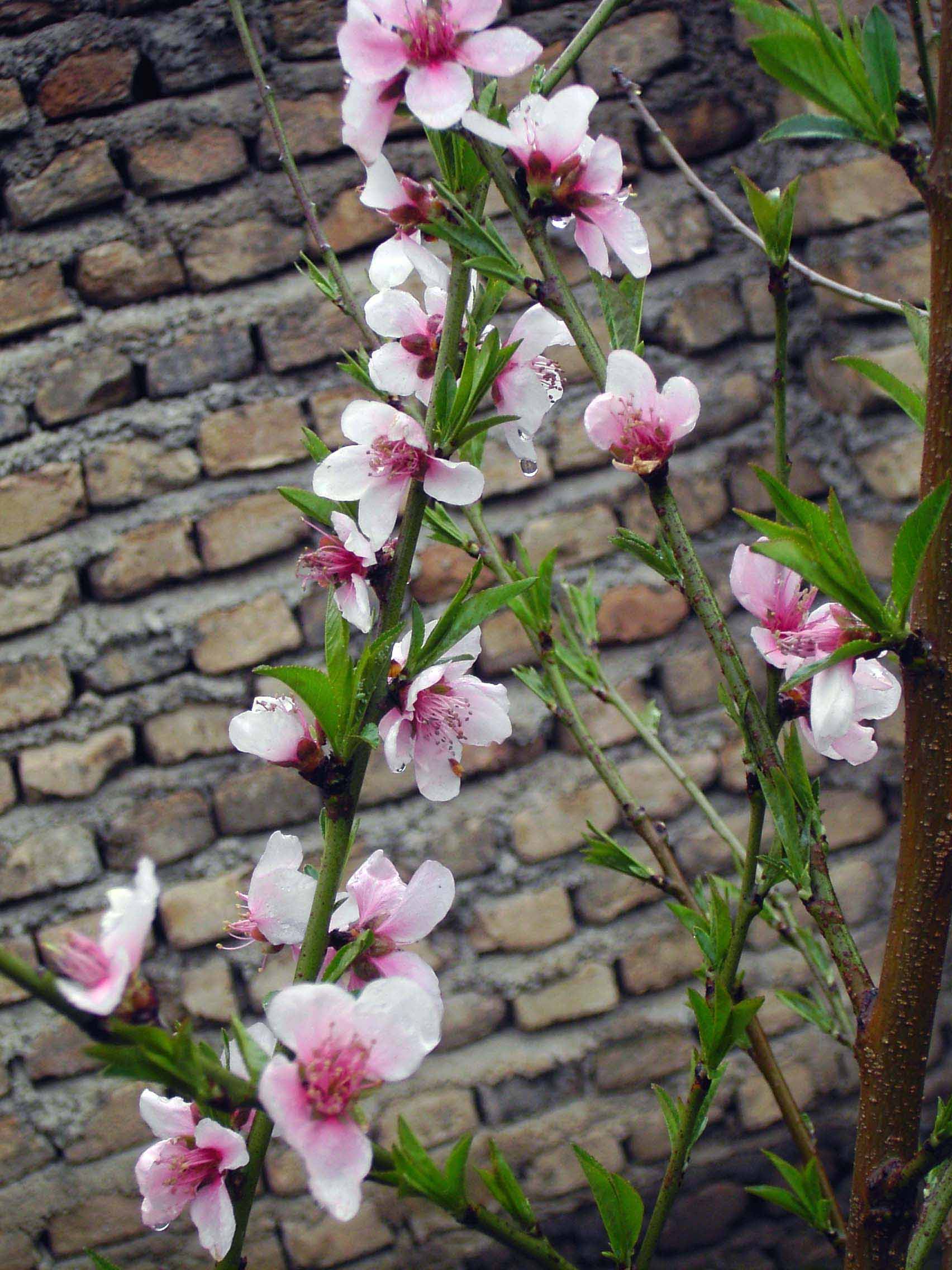 پاسخ به:عكس ارسالي از kamelia