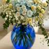 fanoos_gh265
