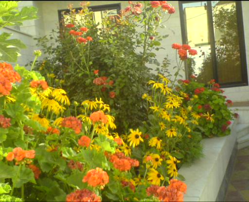 ارسالی معصومه اسدی