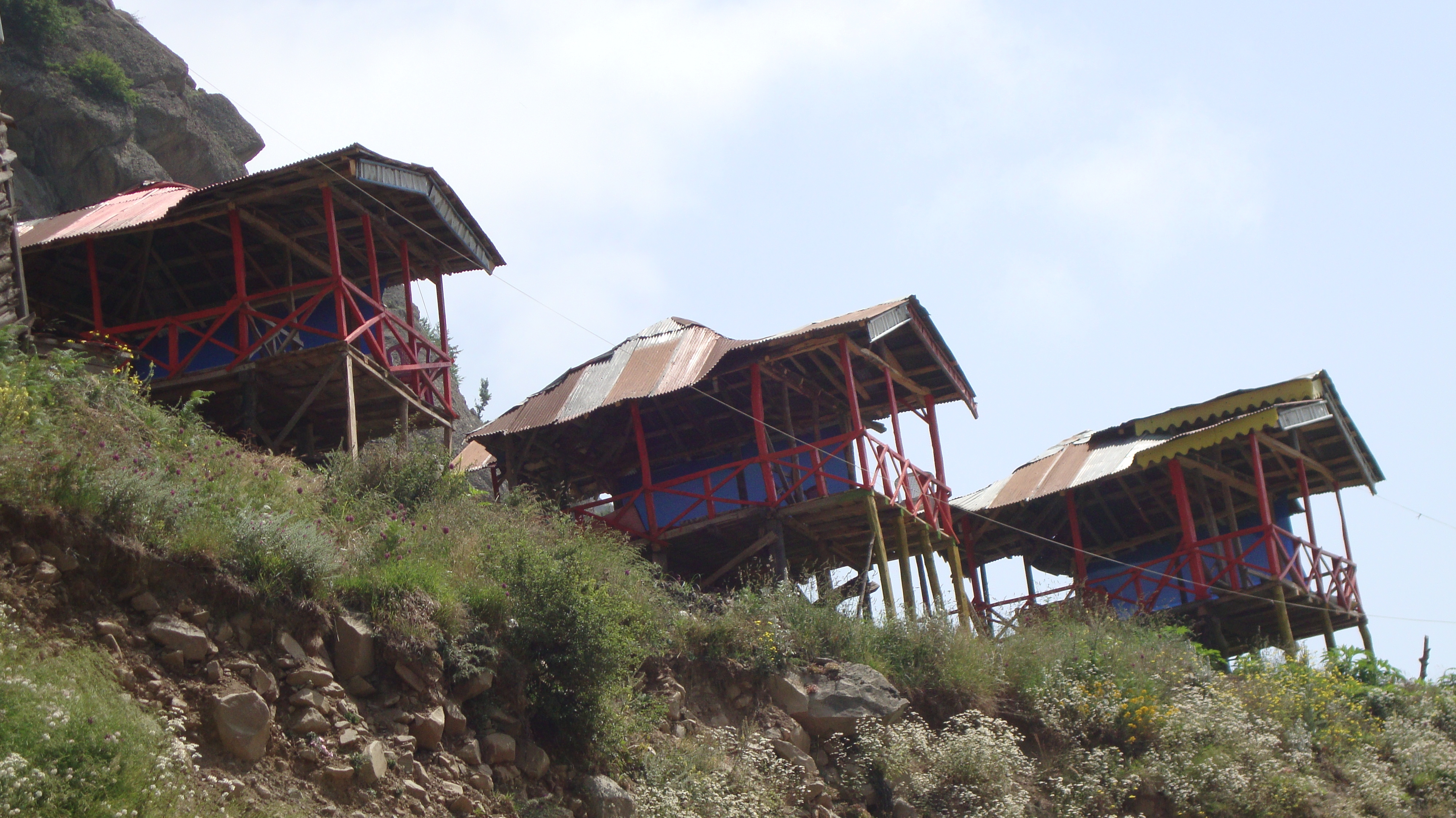 ارسالی  آمنه مرادی